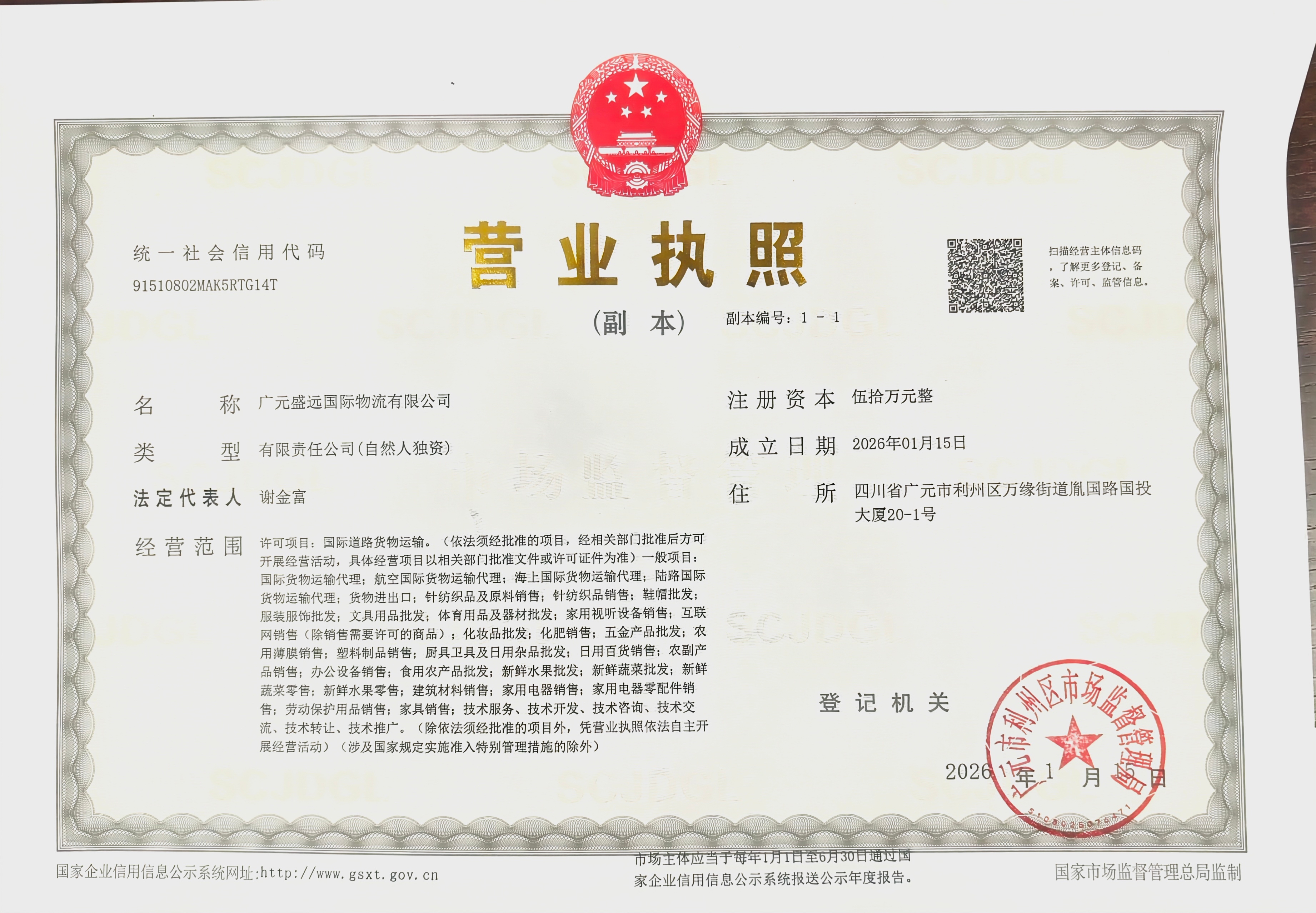 广元盛远国际物流有限公司营业执照